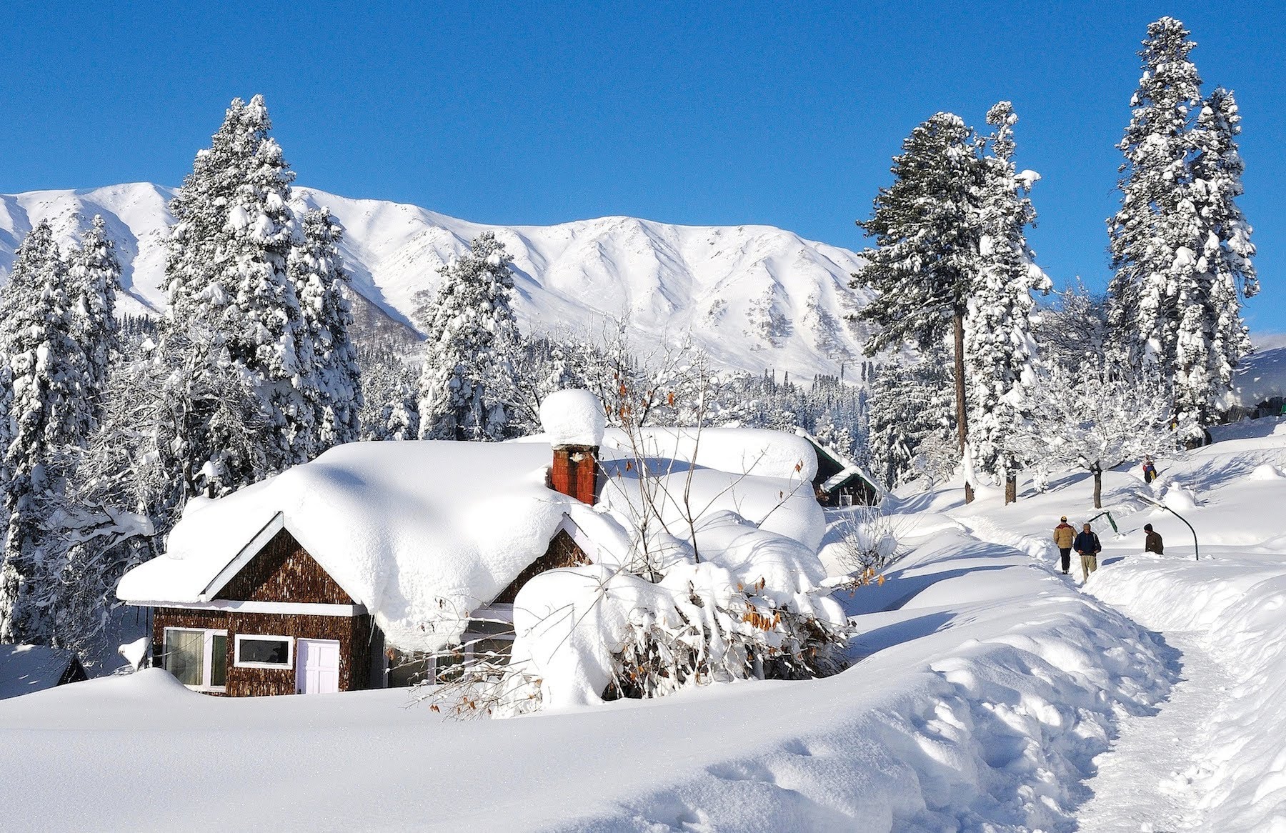 5 popular places to witness snowfall in India